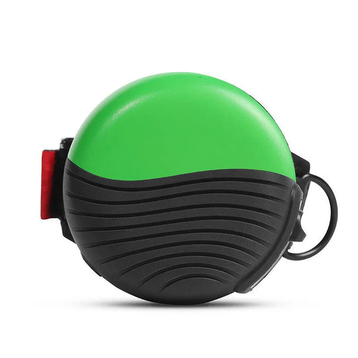 Wrist-Type Pet Watch Leash